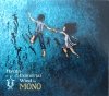 MONO Hymn to the Immortal Wind CD